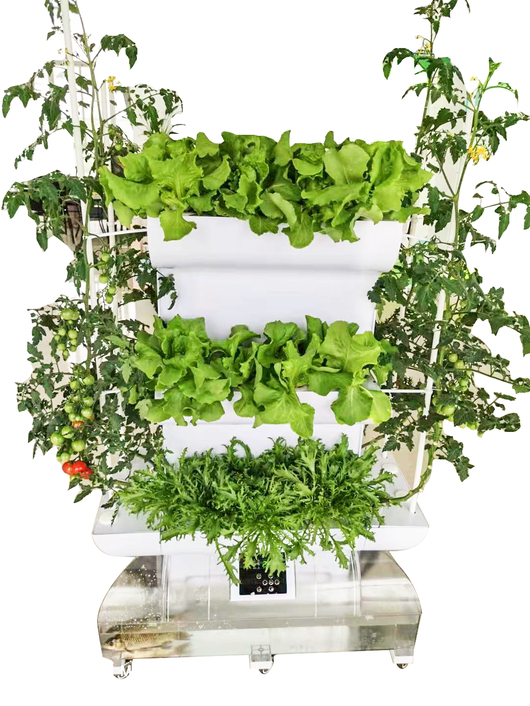 陽台蔬菜好色先生污视频機